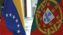 Imagem de Governo português compromete-se a encontrar soluções para apoiar a comunidade portuguesa na Venezuela (Áudio)
