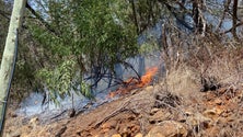 Imagem de Pequenos focos de incêndio dão trabalho aos bombeiros