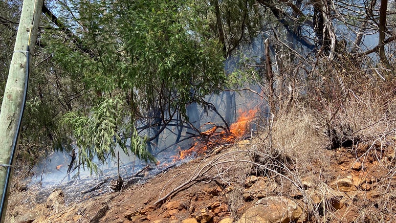 Imagem de Pequenos focos de incêndio dão trabalho aos bombeiros