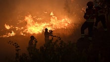 Imagem de Fogo em Odemira motivou deslocação de 1.400 pessoas