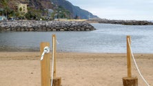 Imagem de Parte da praia da Calheta vai ser encerrada a partir de segunda-feira (áudio)