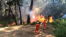 Imagem de PTP pede audição parlamentar sobre os incêndios