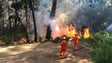 PTP pede audição parlamentar sobre os incêndios