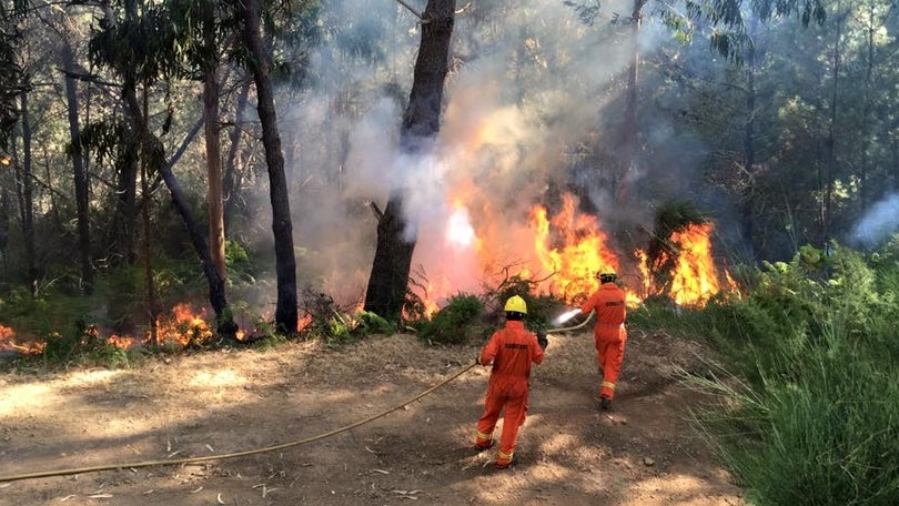 Imagem de PTP pede audição parlamentar sobre os incêndios