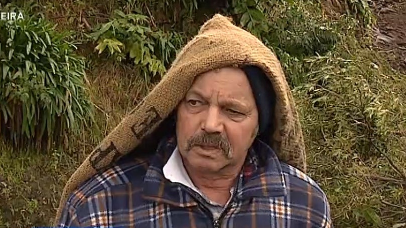 Imagem de Madeira canaliza apoios para a população atingida pelo temporal