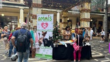 Imagem de Funchal tem mais de 600 animais para adoção (áudio)