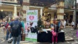 Imagem de Funchal tem mais de 600 animais para adoção (áudio)