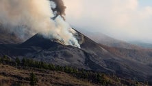 Imagem de Vulcão de La Palma abre novo foco emissor