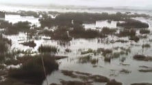 Imagem de Mar bravo invade a vila das Lajes do Pico e provoca estragos (Vídeo)