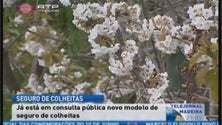 Imagem de Já está em consulta pública novo modelo de seguro de colheitas (Vídeo)
