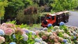 Imagem de Parque Temático da Madeira revive tradições natalícias