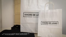 Imagem de Inscrições para o Viveiros de Lojas decorrem até março