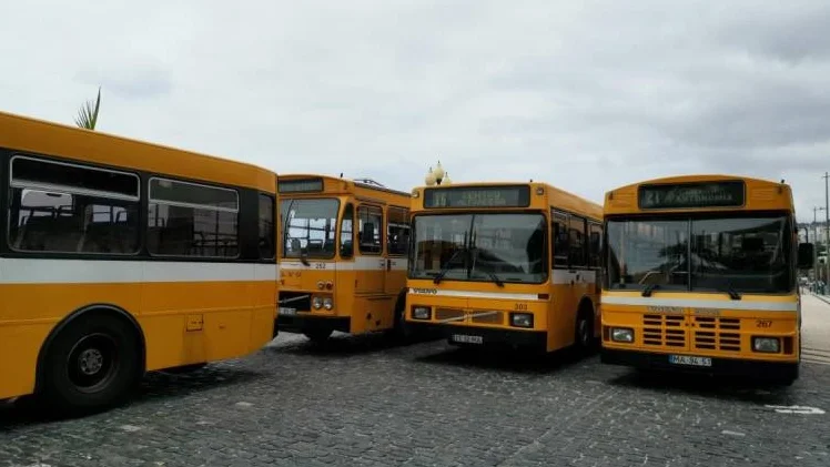 Imagem de Subida nos principais indicadores nos transportes terrestres face a 2021