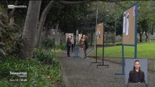 Imagem de Feira da Mulher com artigos feitos por mulheres no jardim de Santa Luzia (vídeo)