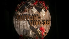 Imagem de A feira do Outono Vivo abriu portas com 50 mil livros [Vídeo]