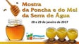 Imagem de Governo vai apoiar os comerciantes que produzirem “poncha” com rum madeirense