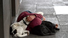 Imagem de Madeirenses são os mais pobres (vídeo)