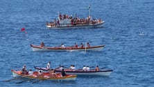 Imagem de Pico e Faial dominaram o campeonato regional de botes baleeiros (Vídeo)
