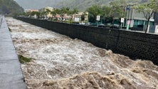 Imagem de Caudal de água na Ribeira Brava impressiona mas não assusta (vídeo)