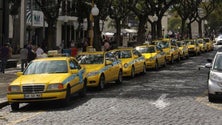 Imagem de Madeira não tinha adaptado a lei sobre os tempos de condução dos taxistas (Vídeo)