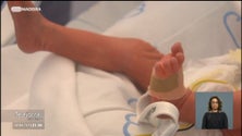 Imagem de Nascem cerca de 140 bebés prematuros por ano na Região (vídeo)