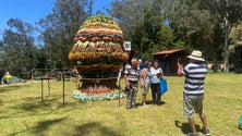 Feira Agropecuária do Porto Moniz (vídeo)