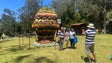 Feira Agropecuária do Porto Moniz (vídeo)