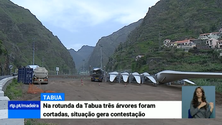 Imagem de Cortadas três árvores na Tabua para a passagem das estruturas das torres eólicas (Vídeo)