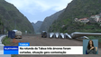Imagem de Cortadas três árvores na Tabua para a passagem das estruturas das torres eólicas (Vídeo)