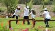 Madeira promove programa de férias para crianças e jovens residentes em bairros sociais
