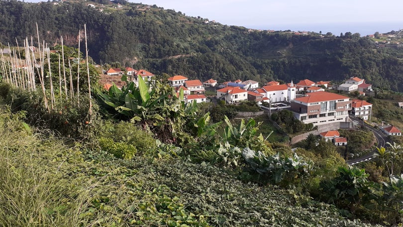 Imagem de CDS vence Freguesia da Ilha
