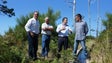 Imagem de Calheta: CDS quer limpeza dos percursos pedestres da Madeira