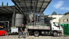 Imagem de Setor do vinho na Madeira está preparado para receber até 4 mil toneladas de uvas (vídeo)