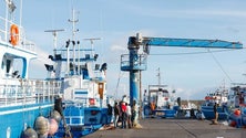 Imagem de Mais energia elétrica para as pescas (áudio)