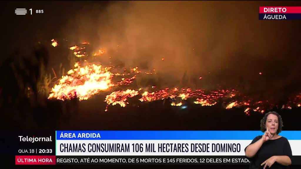 Incêndio em Águeda. Situação em Lourizela ainda é muito preocupante