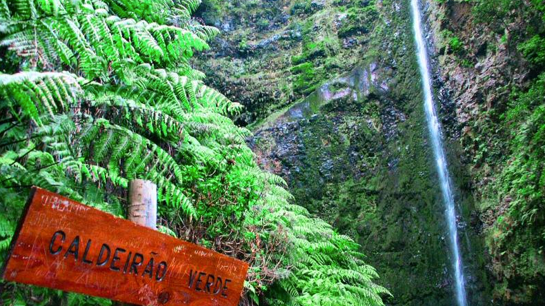 Imagem de Percurso do Caldeirão Verde reabre na quarta-feira
