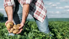 Imagem de Agricultores pedem lei que impeça venda de produtos abaixo do custo de produção