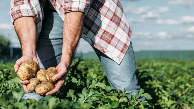 Agricultores pedem lei que impeça venda de produtos abaixo do custo de produção