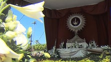 Imagem de Câmara Municipal de Ponta Delgada cancela festas (Vídeo)