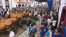 Imagem de Espírito Santo celebrado na Terra Chã (Vídeo)