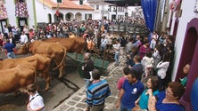 Espírito Santo celebrado na Terra Chã (Vídeo)