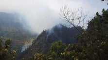 Imagem de Incêndio na zona do Vasco Gil continua ativo
