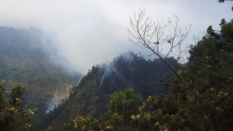 Imagem de Incêndio na zona do Vasco Gil continua ativo