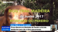 Dog Trail a 11 de junho no Montado do Pereiro