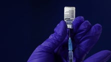 Imagem de Açores recebem 23.400 doses de vacina