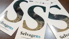Imagem de Projeto quer atrair turistas às Selvagens (áudio)