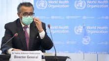 Imagem de OMS defende reforço de produção local de medicamentos