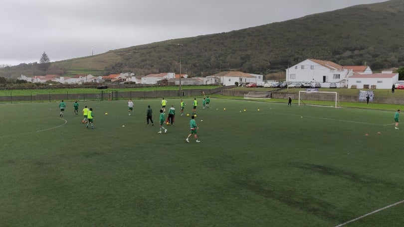 Imagem de Leão requalificado