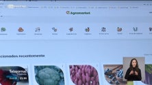 Agromarket disponível nos próximos dias (vídeo)