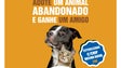 Funchal promove campanha de adoção de animais